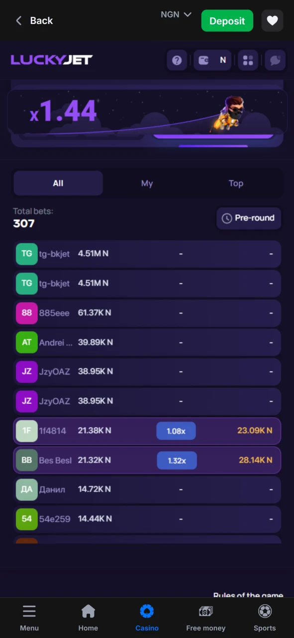 In the Lucky Jet game you can watch the bets of 1win players.